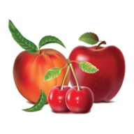 Cherry Hill Farms logo
