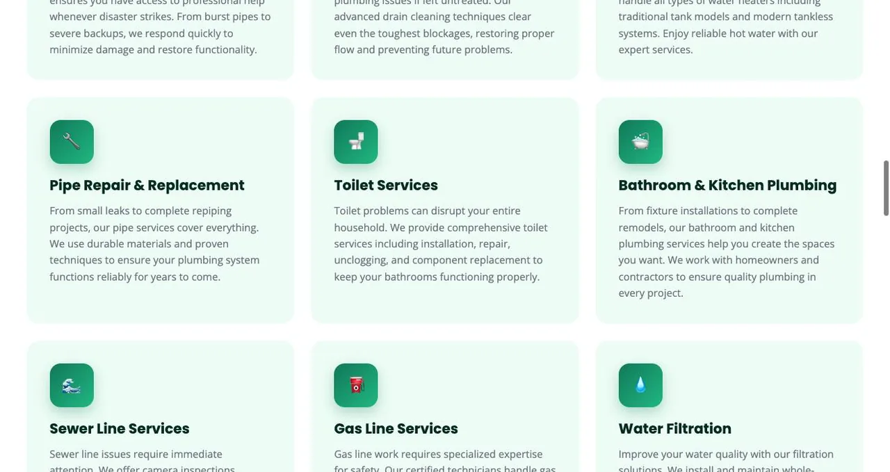 Denver Plumbing Pros cover