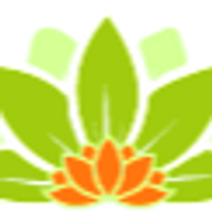 Body In Balance LV logo