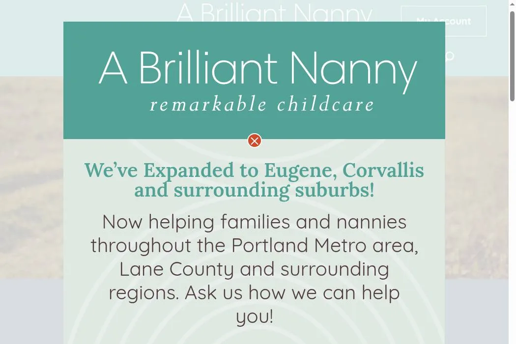 A Brilliant Nanny cover