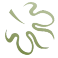 FIG Insurance logo