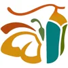 Chrysalis Preschool logo