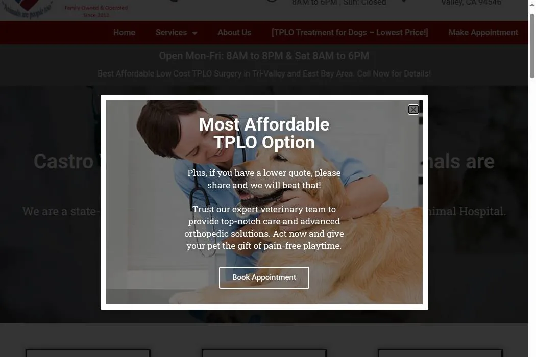 Castro Valley Animal Hospital cover
