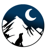 Luna Lending Inc. logo