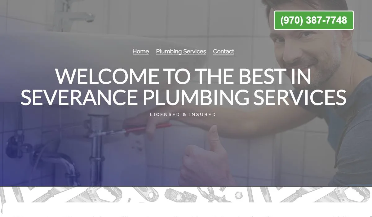 Walter & Sons Plumbing cover