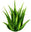 Aloe Vera Center logo