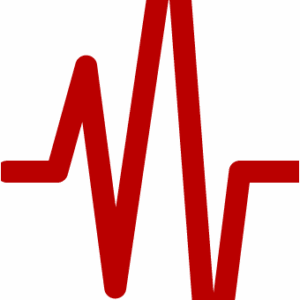 Magnificat Wellness Center logo