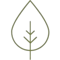 Live Laser Med Spa logo