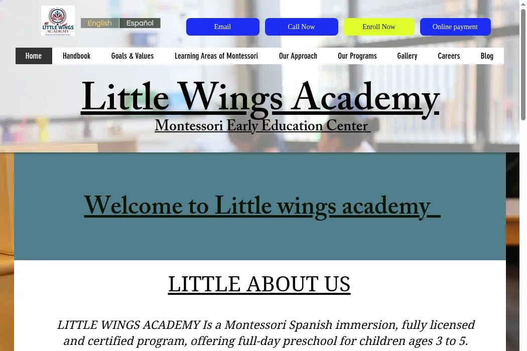 Little Wings Academy cover