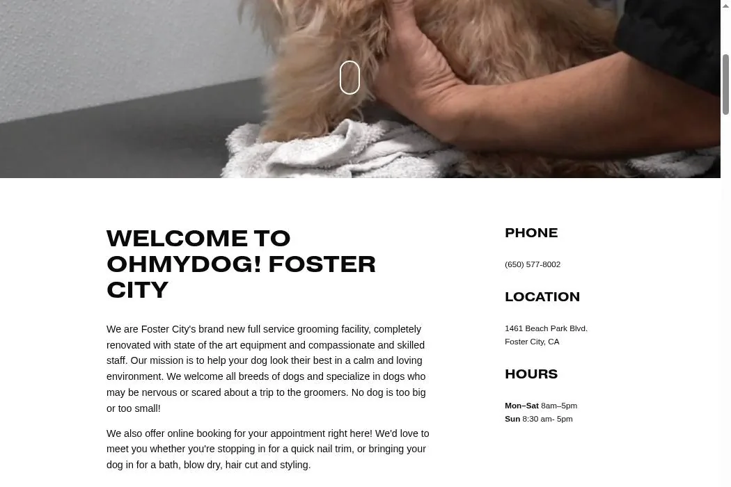 OhMyDog! cover