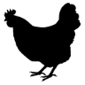 The Roost Chop House logo