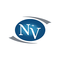 New Visions Recovery Solutions logo