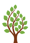 Mid Tenn Tree & Shrubs logo