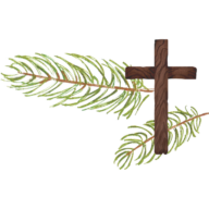 Pines Chapel Presbyterian Church logo