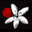 Wild Gift Coffee logo
