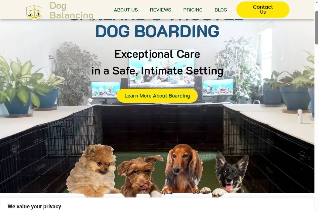 Dog Balancing cover