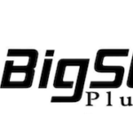 Big State Plumbing logo