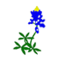 Bluebonnet HVAC logo