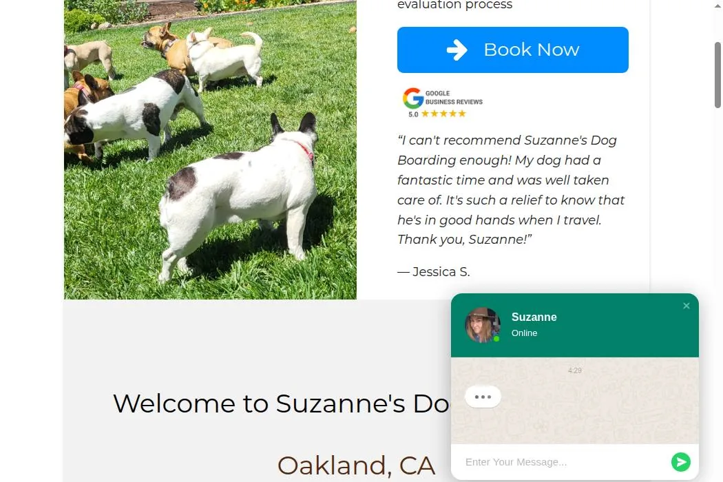 Suzanne's Dog Boarding cover