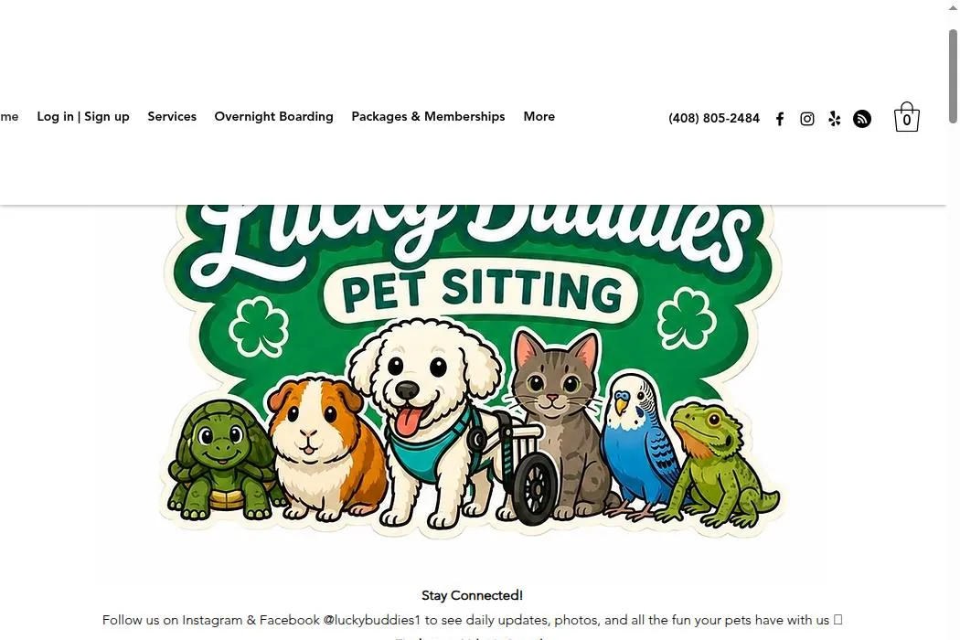 Lucky Buddies Pet Sitting cover