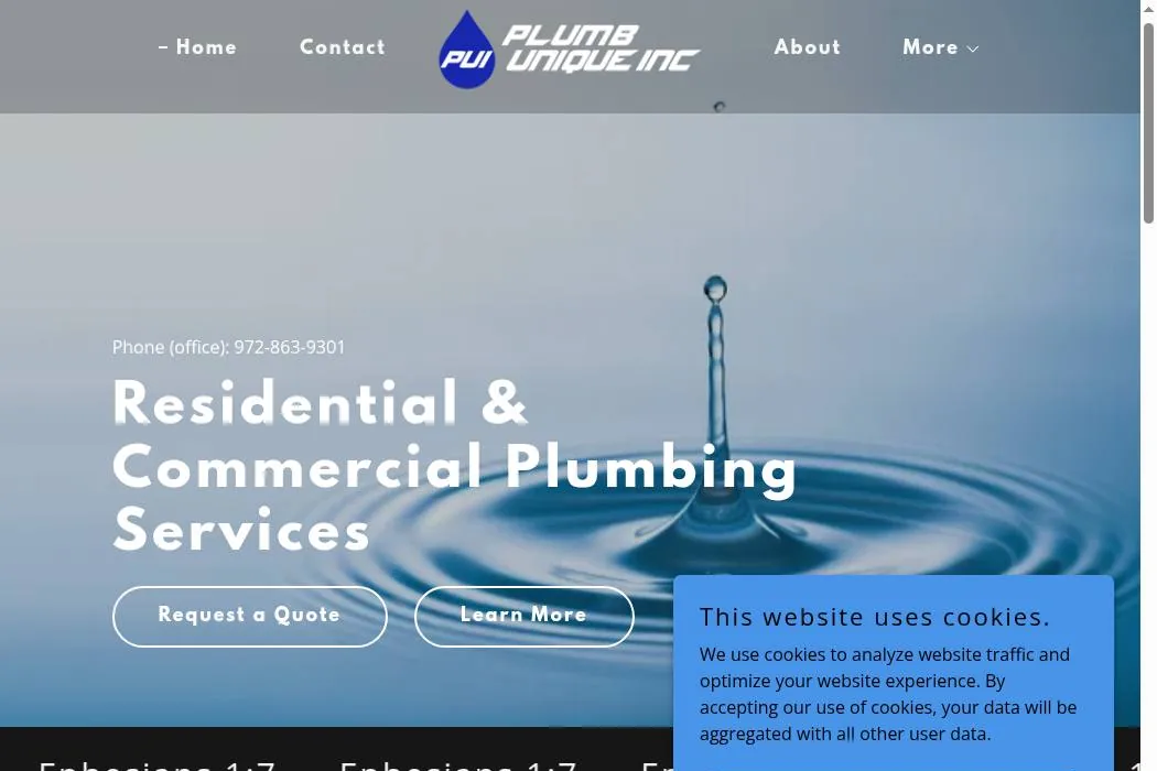 Plumb Unique Inc. cover