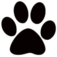 Jackson's Place Unleashed Pet Resort logo
