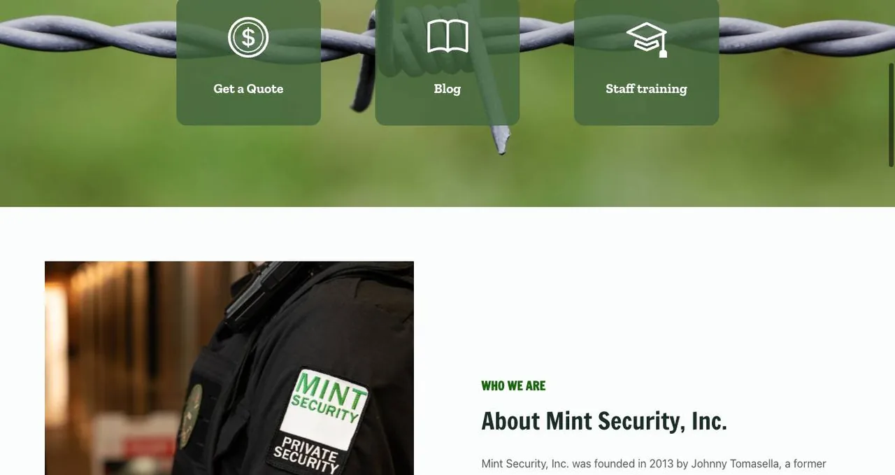 Mint Security, Inc. cover