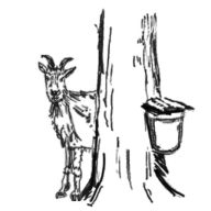 Warrup's Farm logo