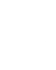Vita Bella Wellness logo
