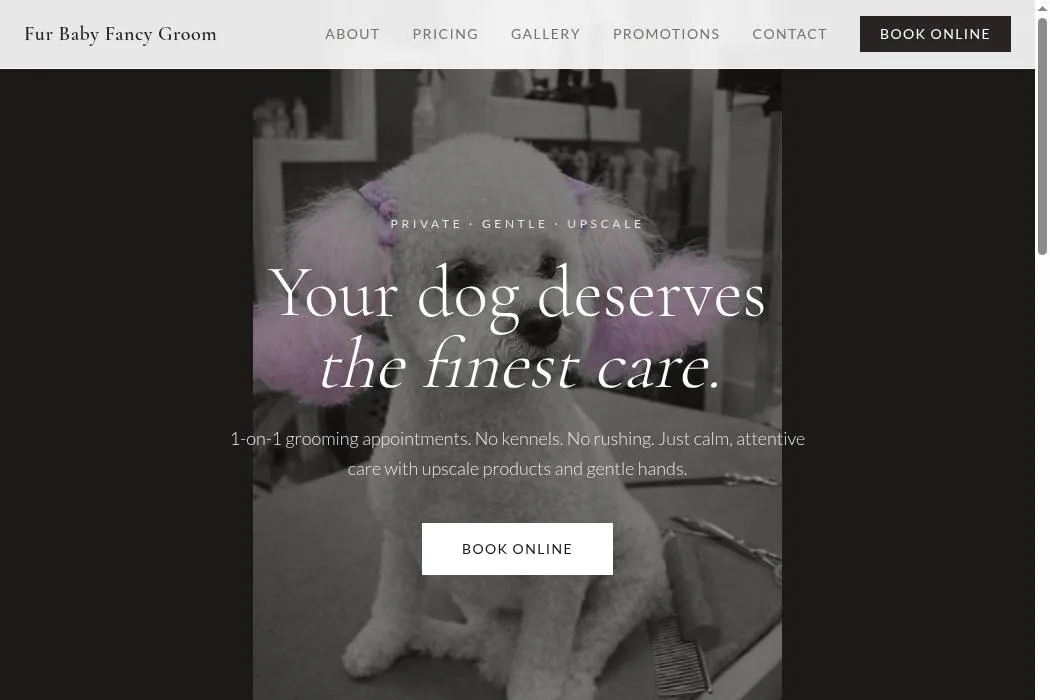 Fur Baby Fancy Groom cover