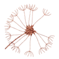 Los Angeles Therapy Institute logo