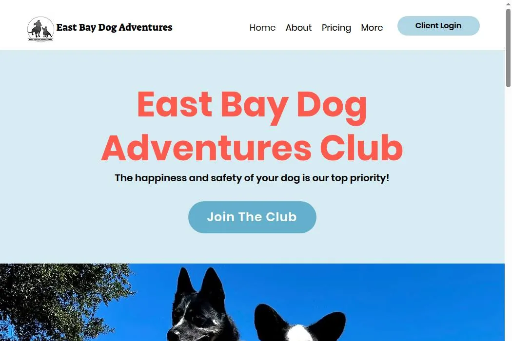 East Bay Dog Adventures cover