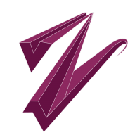 V'z Image Option'z logo