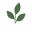 Premier Beauty Medical Aesthetics logo
