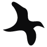 santafeschoolofmusic-org logo