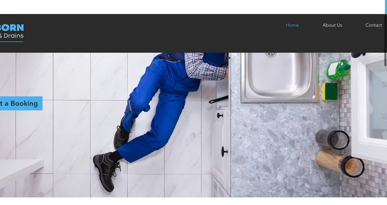 Dearborn Plumbing cover