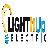 Light It Up Electric logo