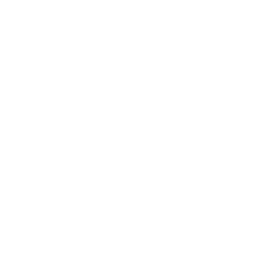 New Generation logo